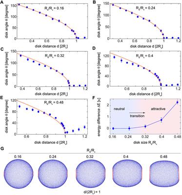 Membrane-mediated interactions between disk-like inclusions adsorbed on vesicles